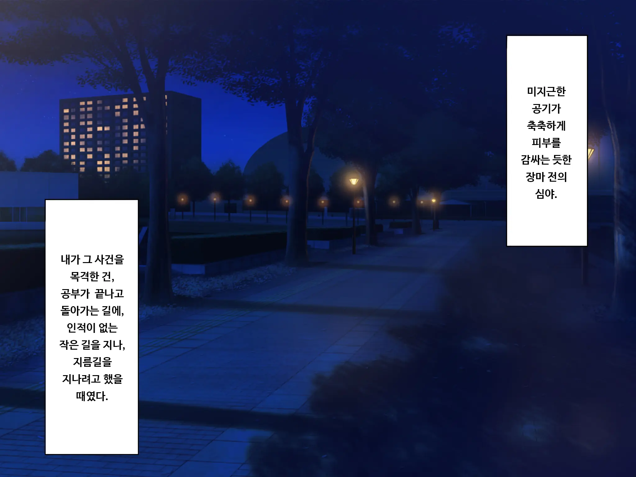 TS Mesu Dorei E No Kaizou | TS 암컷 노예로의 개조